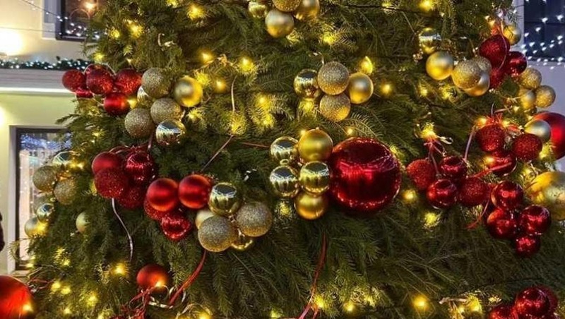 Главная ёлка города откроется 28 декабря у Омской крепости