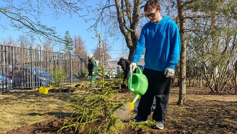 Более 2 тыс. петербуржцев приняли участие в весеннем озеленении города