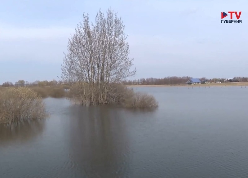 Обширные паводки угрожают нескольким районам Воронежской области
