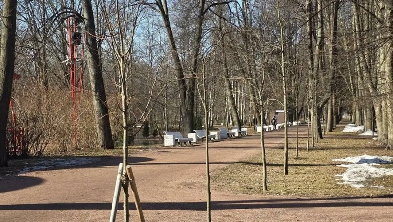 30 тыс. цветов высадят в Приморском парке Победы в Петербурге в 2026 году