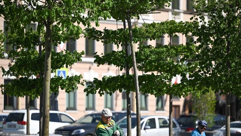 Сад-трансформер на Исаакиевской площади открылся ко Дню города