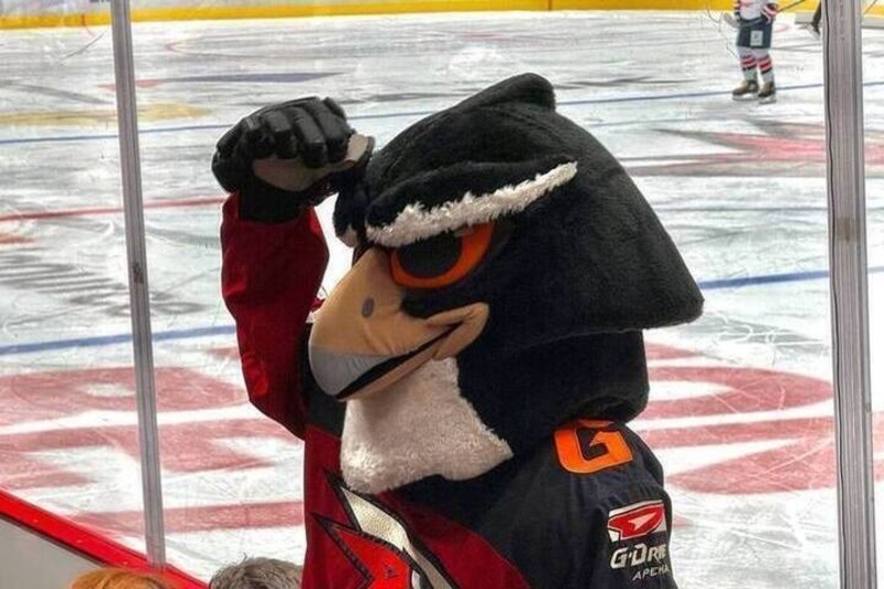 Ги Буше стал лучшим тренером в рейтинге КХЛ