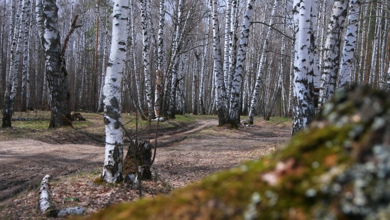 Особый противопожарный режим введут с 25 апреля в Татарстане