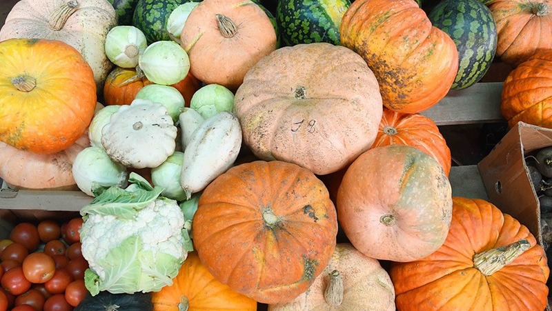 Заключительные сельскохозяйственные ярмарки этого года состоятся 27 декабря в Казани