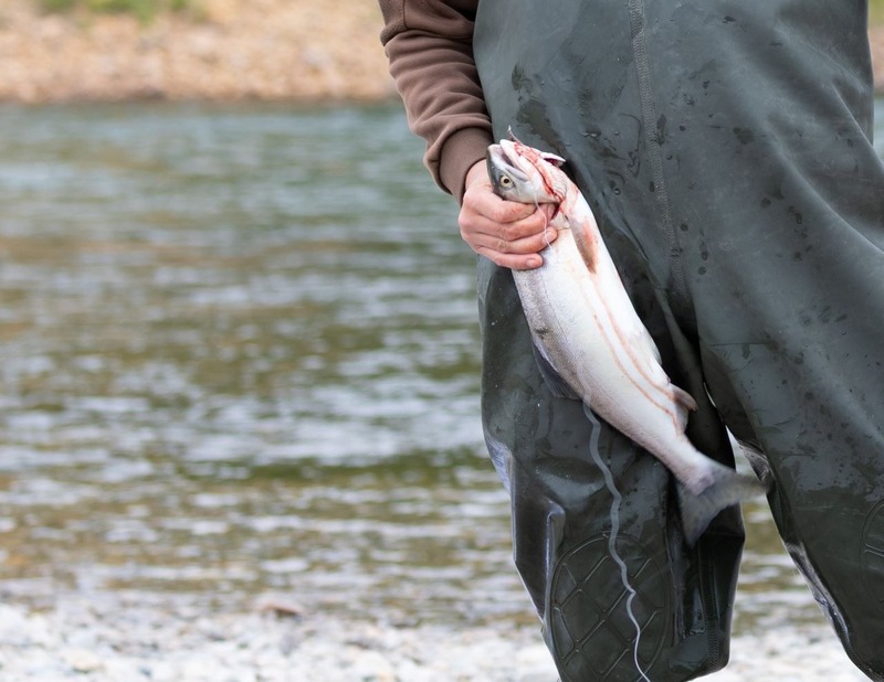 Более 65 тонн рыбы и крабов изъяли у браконьеров с начала 2025 года на Колыме