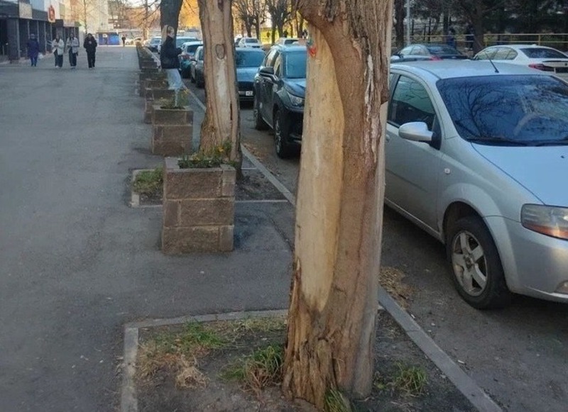 Мавлиев: В Уфе обновят более 10 тыс. м тротуаров