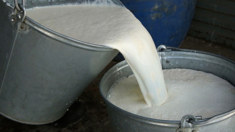 Татарстан может стать транспортным хабом поставок афганской мясо-молочной продукции