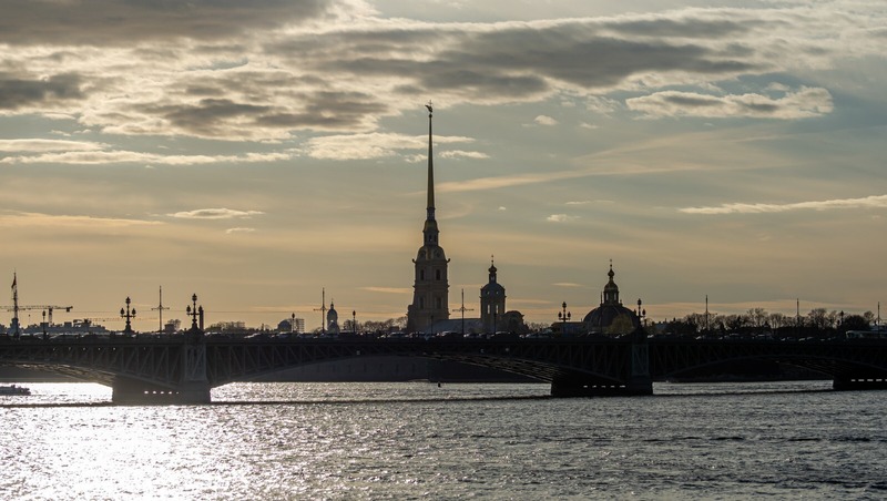 14% женатых россиян провели медовый месяц в Петербурге или Ленобласти
