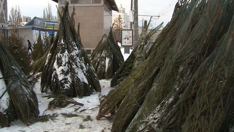 Ëлочные базары открылись на 20 площадках в Казани