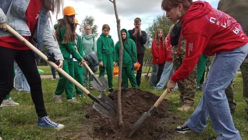Более 2 тыс. деревьев и кустарников высадят до конца года в Нижнем Новгороде