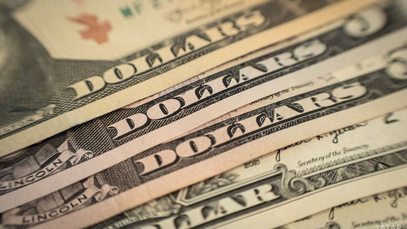 109 млн долл. достиг экспорт продукции агропромышленного комплекса из РТ в Индию