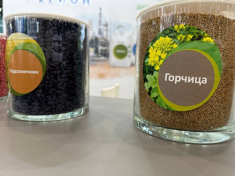 Агрокомплекс РТ заключит соглашение о развитии инновационного сотрудничества с Китаем