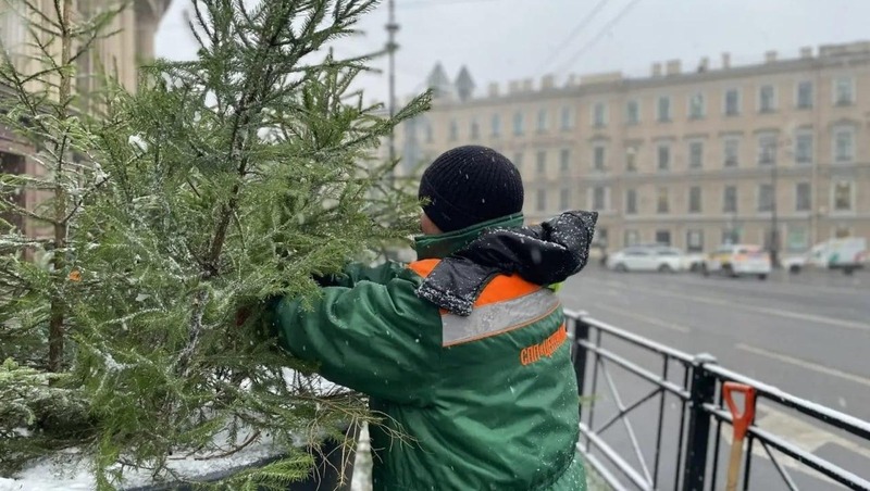 Ёлками начали украшать улицы к Новому году в Петербурге