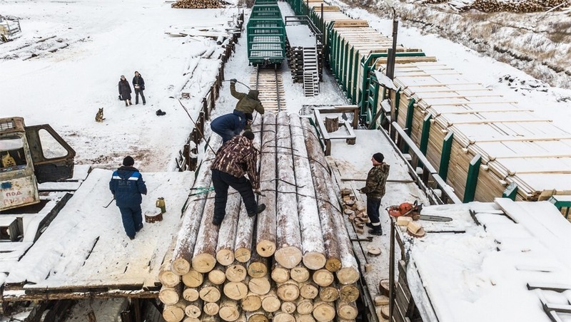 12 тыс. кубометров лесоматериалов экспортировали из Прикамья в Китай за месяц
