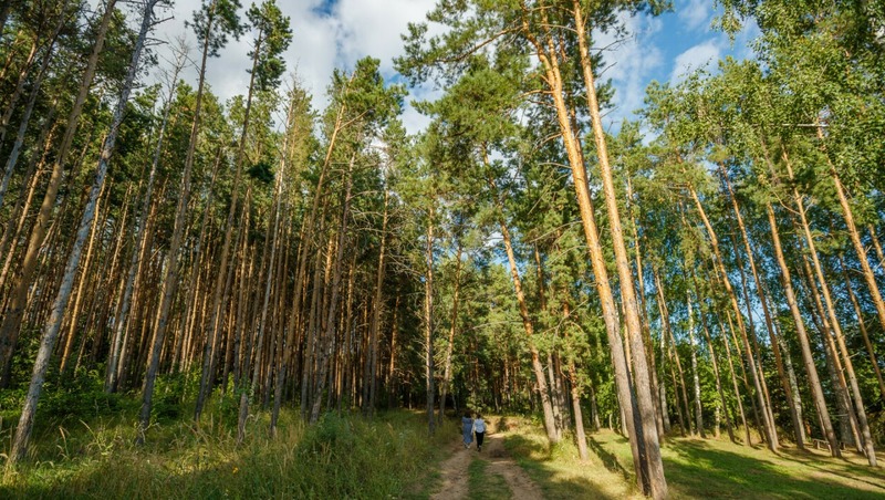 70 тыс. руб. достигла среднемесячная зарплата в сельхозотрасли в РТ