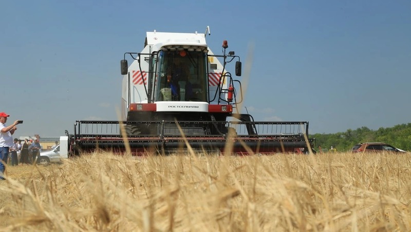 Около 2,3 млн га составит общая посевная площадь сельхозкультур в Самарской области в 2026 году