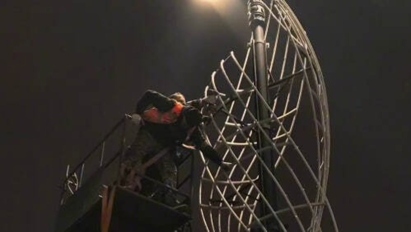 Праздничную ель установят на Дворцовой площади Петербурга к 20 декабря