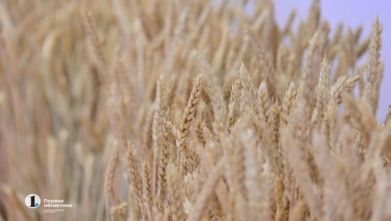 Текслер поздравил работников сельского хозяйства с профессиональным праздником