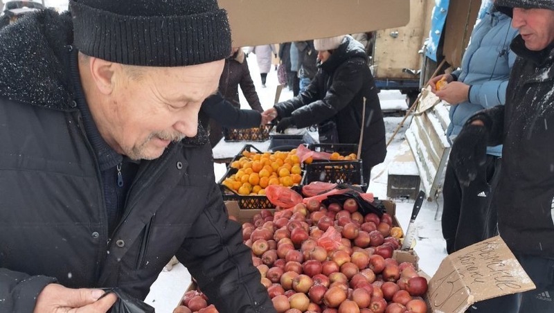 Более 400 тонн фермерской продукции завезли в Челны