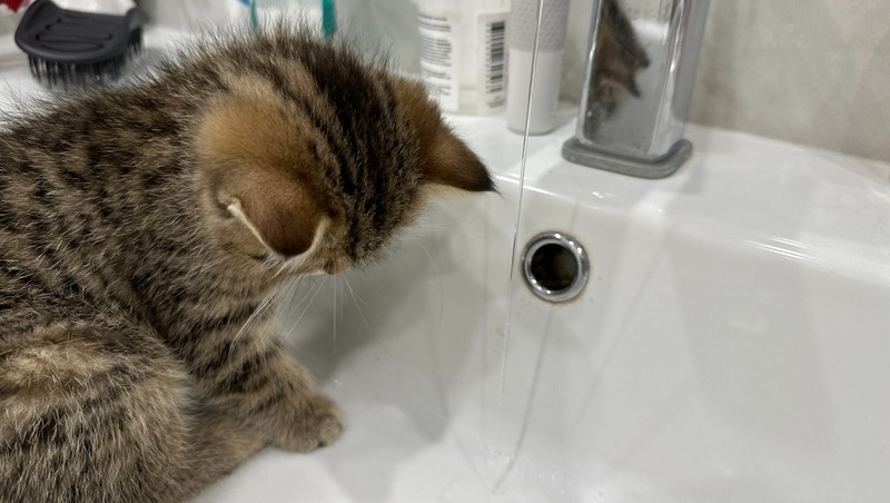 В Индустриальном районе Перми отключили воду в 18 домах из-за аварии