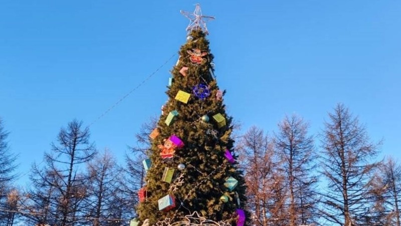 Первые новогодние елки установили в районах Магадана