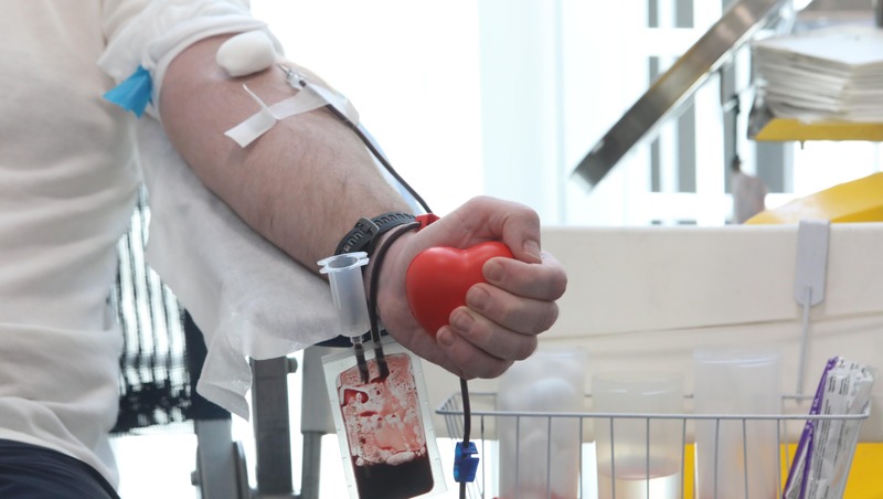 144 жителя Красногвардейского района Петербурга получили почётные донорские звания в 2025 году