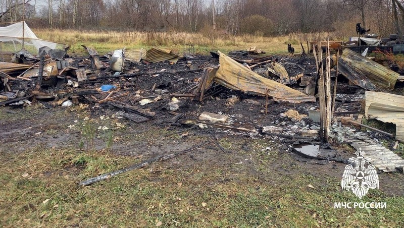 3 пожара потушили за сутки в Рязанской области