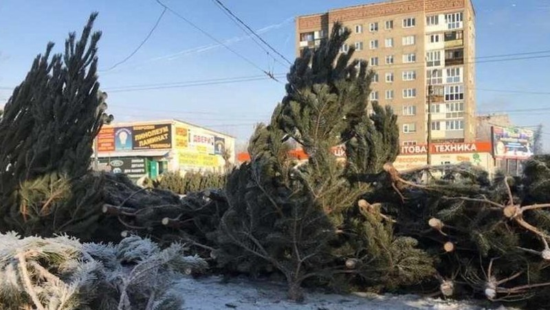 В Ленинском округе Омска будут работать 16 площадок для ёлочных базаров