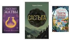 Книги бестселлеры 2025