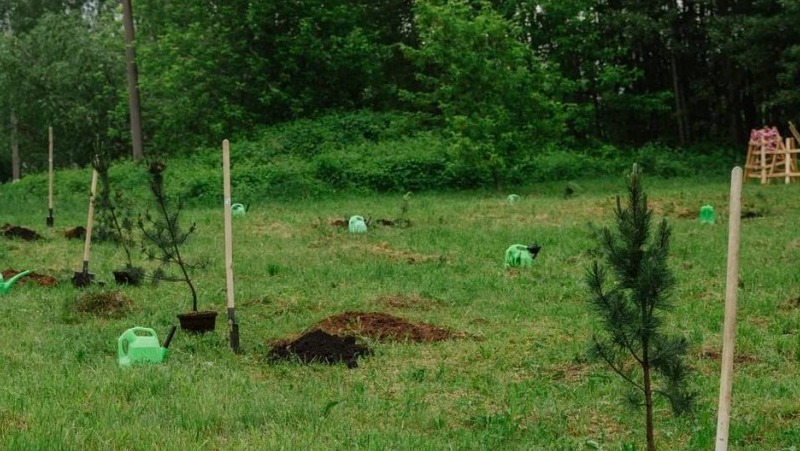 4,6 млрд руб. направят на охрану окружающей среды в Нижнем Новгороде