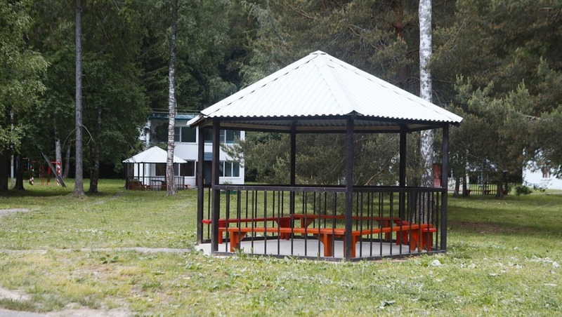 Более 80 тыс. детей отдохнули в летних лагерях во Владимирской области в 2025 году