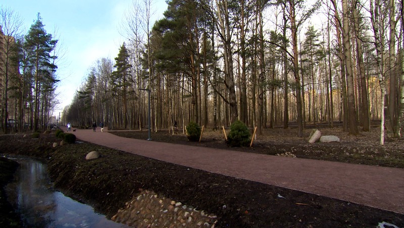 62 общественных пространства благоустроят в 2026 году в Петербурге