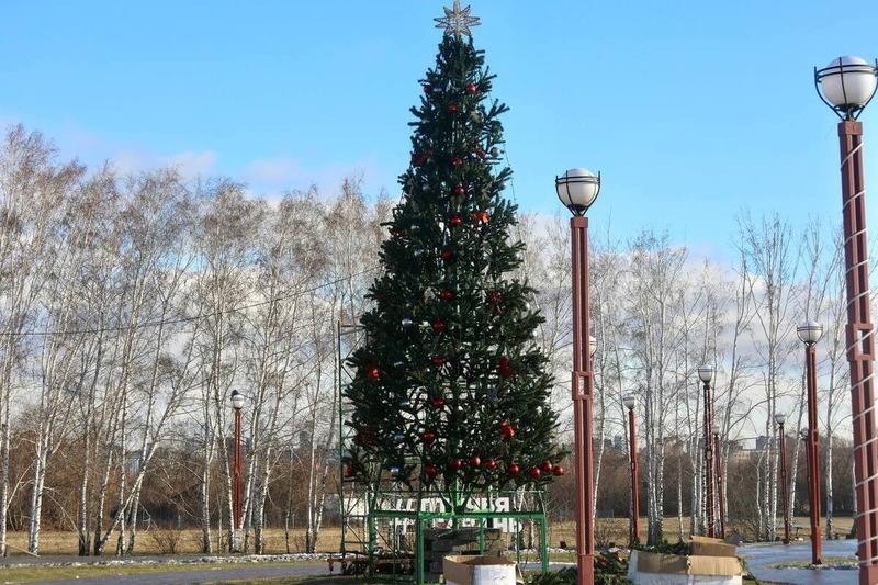 В парке «Птичья гавань»  появится лыжная трасса и горка