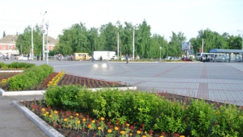 Около 250 тыс. цветов высадят в Омске в рамках весенних месячников чистоты