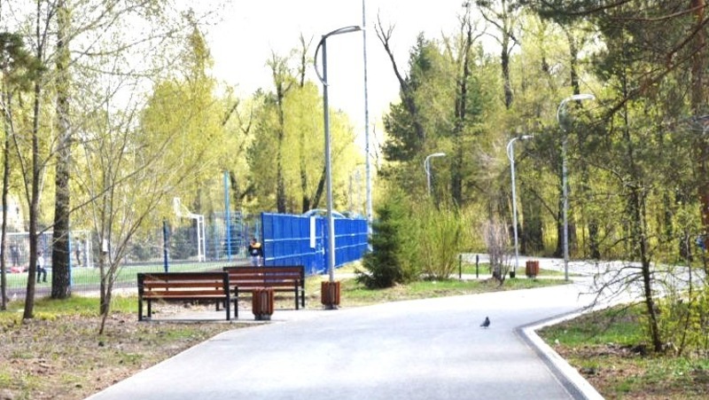 Фестиваль скандинавской ходьбы состоится 24 августа на Зелёном острове