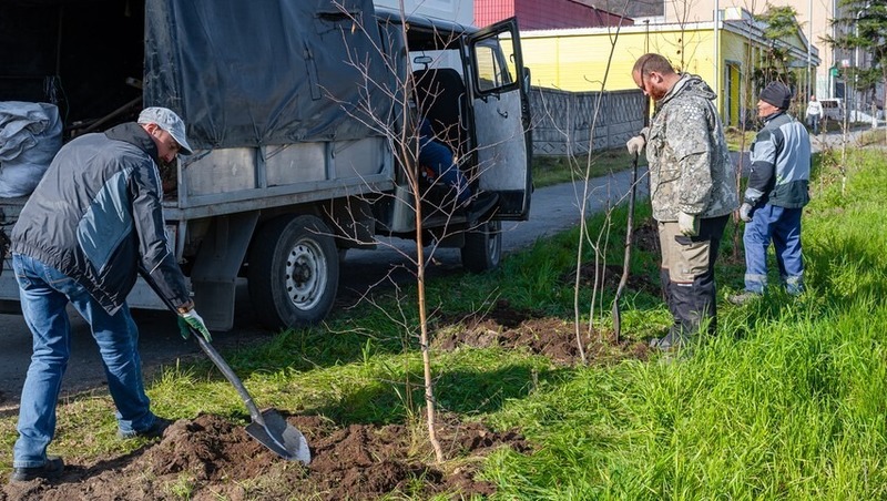 Озеленение Магадана продлится до середины октября