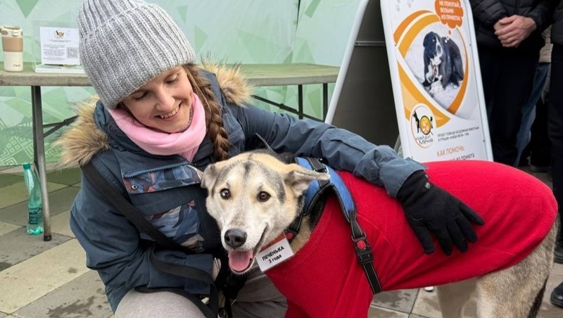 4 тонны корма для бездомных животных собрали уфимцы в рамках благотворительной акции