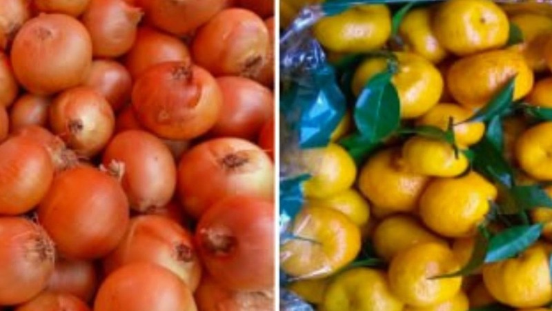 Более 800 тонн мандаринов и лука завезли в регион