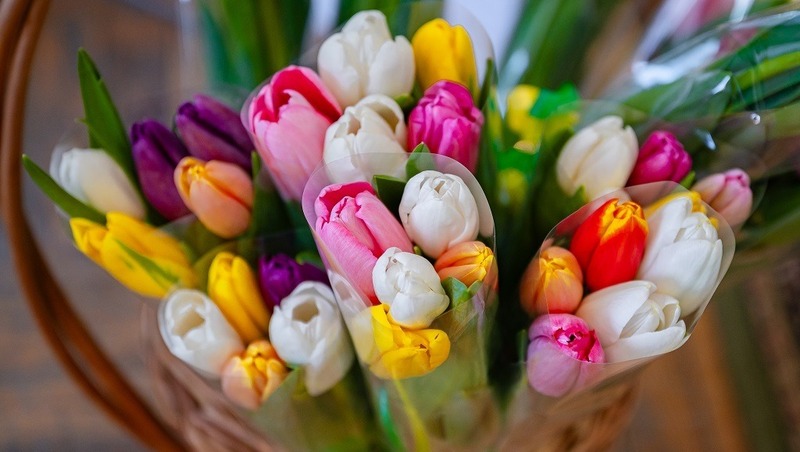 Празднование Международного женского дня состоится в Городском парке 8 марта