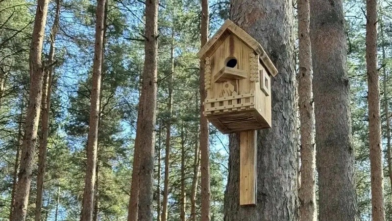 Городской экологический фестиваль состоится в Уфе 18 апреля