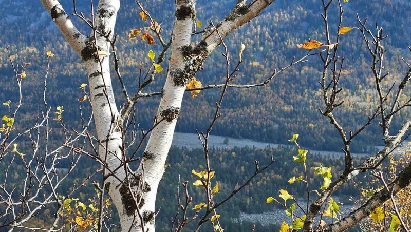 Более 35 тыс. туристов посетили нацпарк «Таганай» за сентябрь