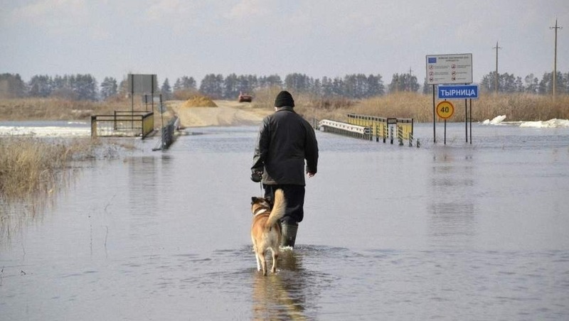 16 низководных мостов затопило из-за половодья в Рязанской области