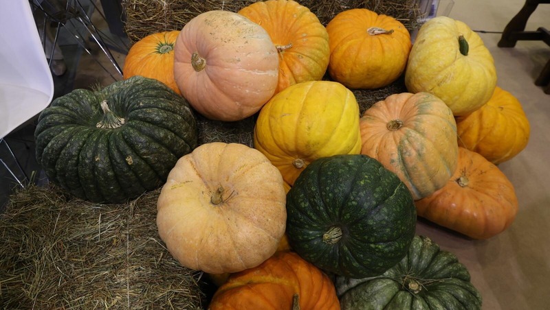 740 млн руб. направят на подготовку к посевной кампании в Ленобласти