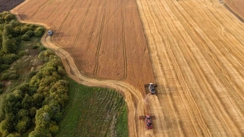 На 2,6 тыс. га увеличится площадь сельхозземель в Свердловской области