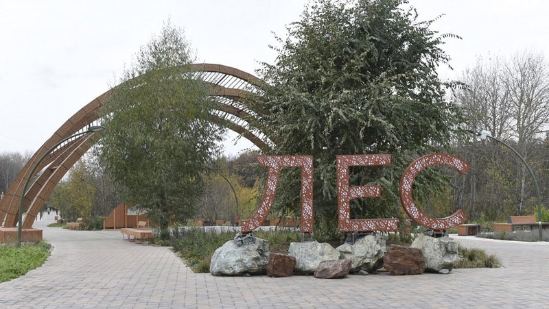 Экологический субботник состоится 18 октября в Горкинско-Ометьевском лесу