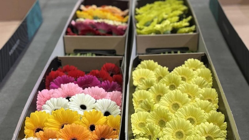 8 млн цветов ввезли к 8 Марта в Челябинскую область