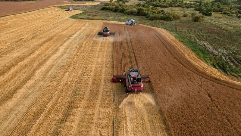 Около 20 тыс. га земли дополнительно получат свердловские аграрии под посевы в 2026 году