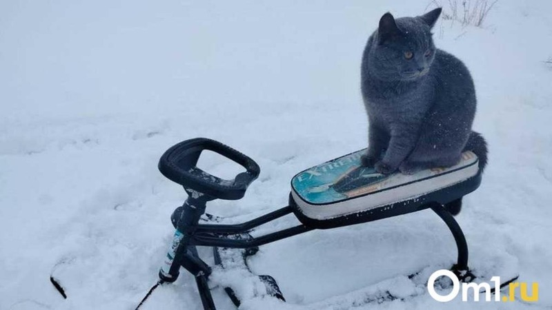 В омском сквере Дзержинского запустили прокат электроснегокатов