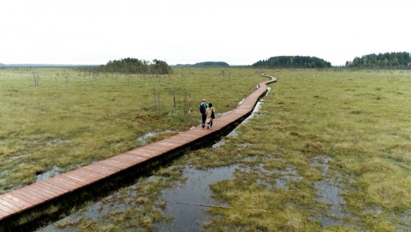 7 межрегиональных экомаршрутов создадут до 2030 года в Петербурге и Ленобласти