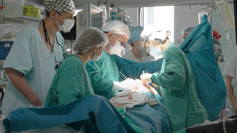 Трансплантацию сердца успешно провели в Мариинской больнице Петербурга